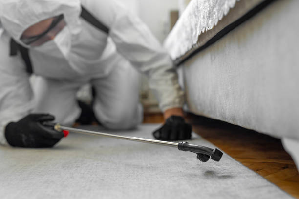 Professional Bed Bug Control technician working in Yalobusha County County, MS